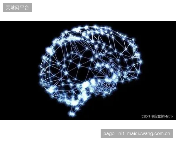 下一代履约矩阵将植入更复杂的神经元网络,以预测并模拟“黑天鹅”事件的冲击 下一代履约矩阵将植入更复杂的神经元网络,以预测并模拟“黑天鹅”事件的冲击